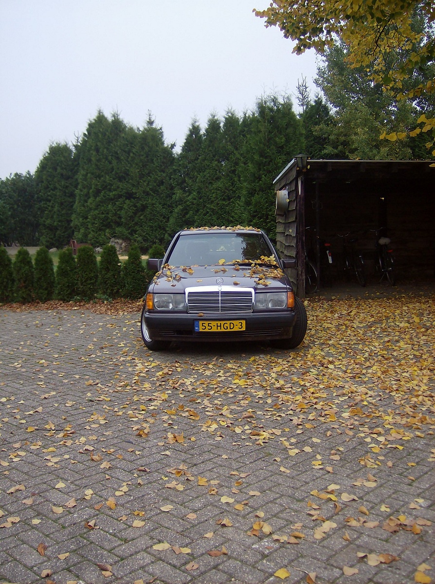 Blad 1.JPG