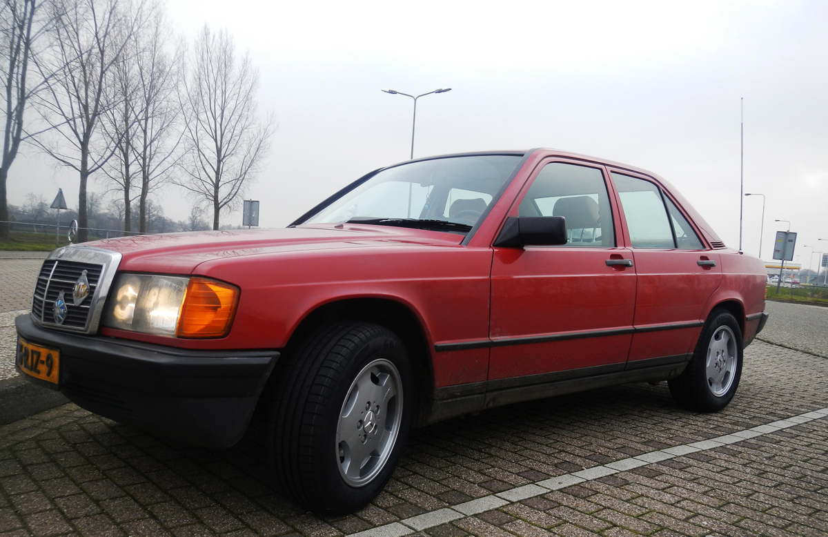 2014 nieuwe bandjes 003klein.jpg