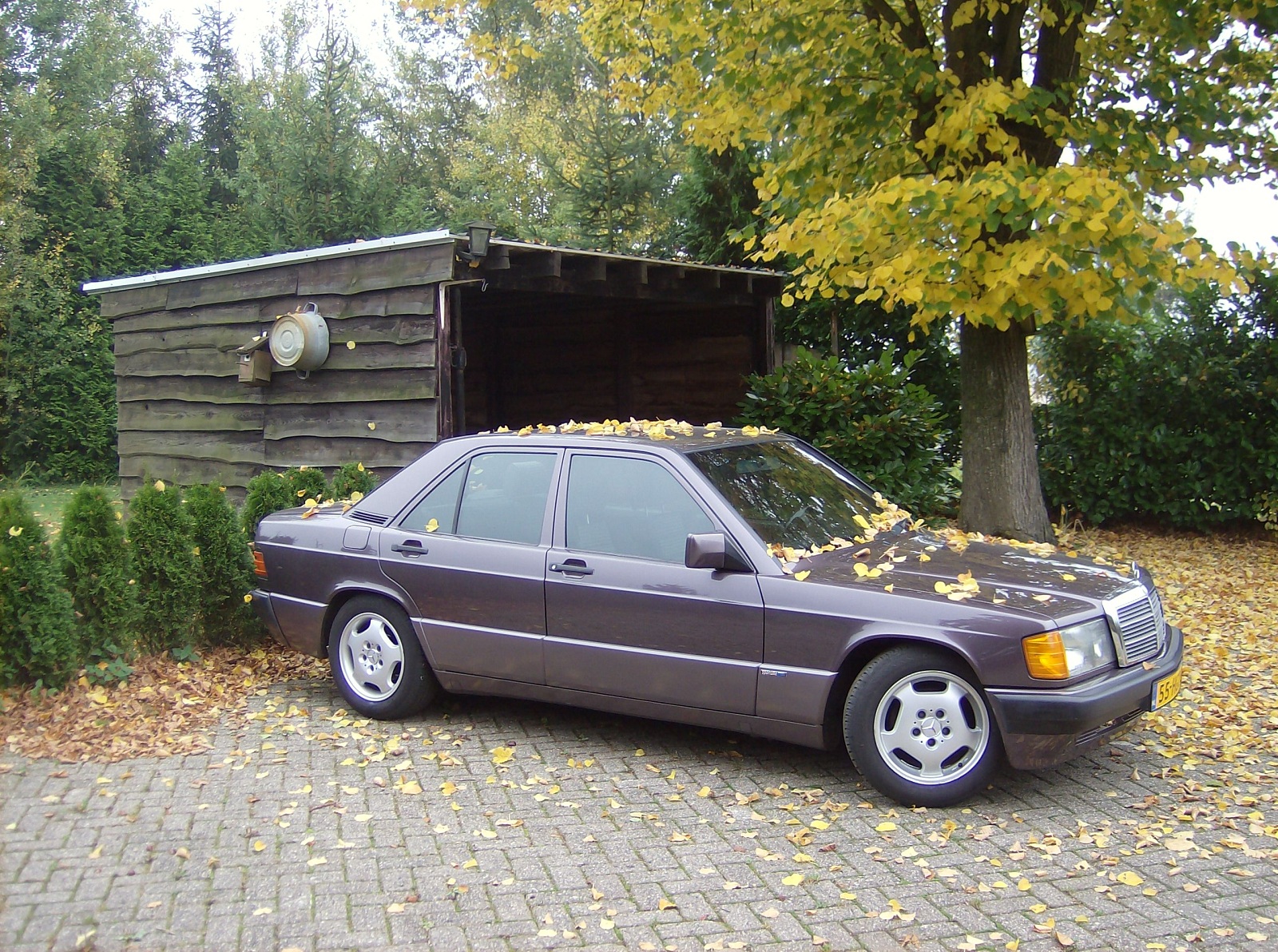 Blad 4.JPG