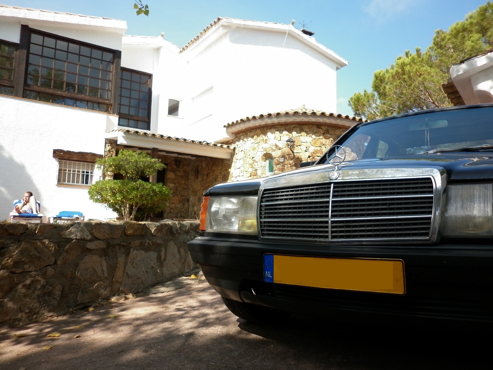 P10009777.jpg
