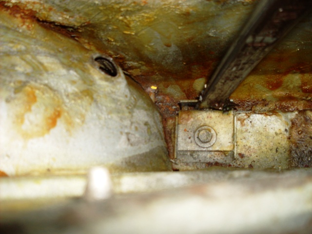 SDC18392_1_.jpg