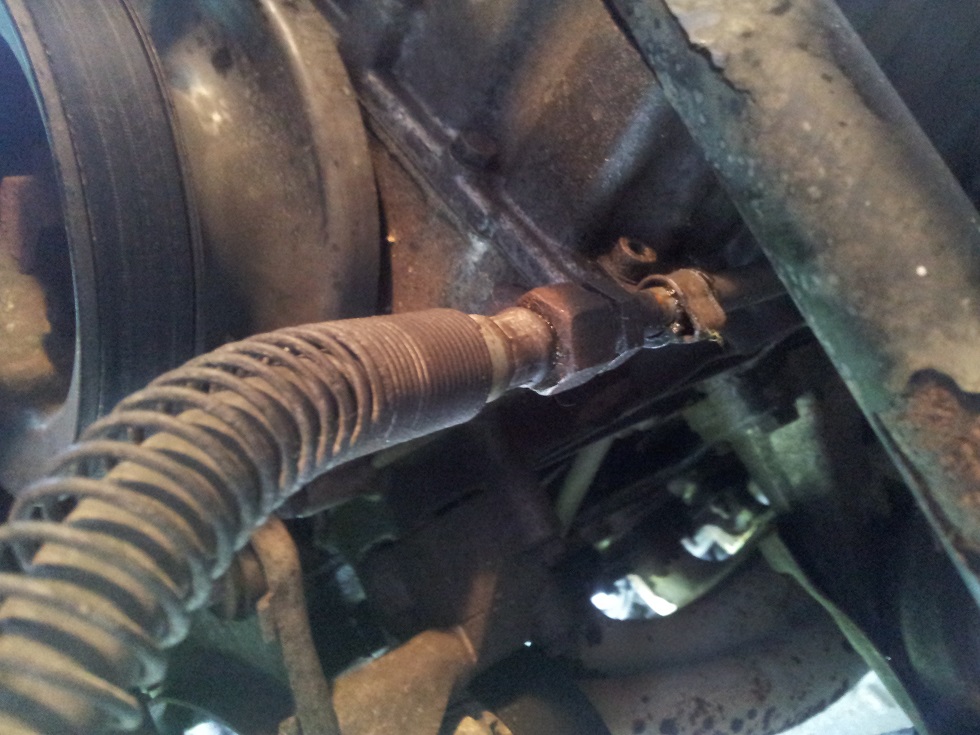 20140607_101311c.jpg