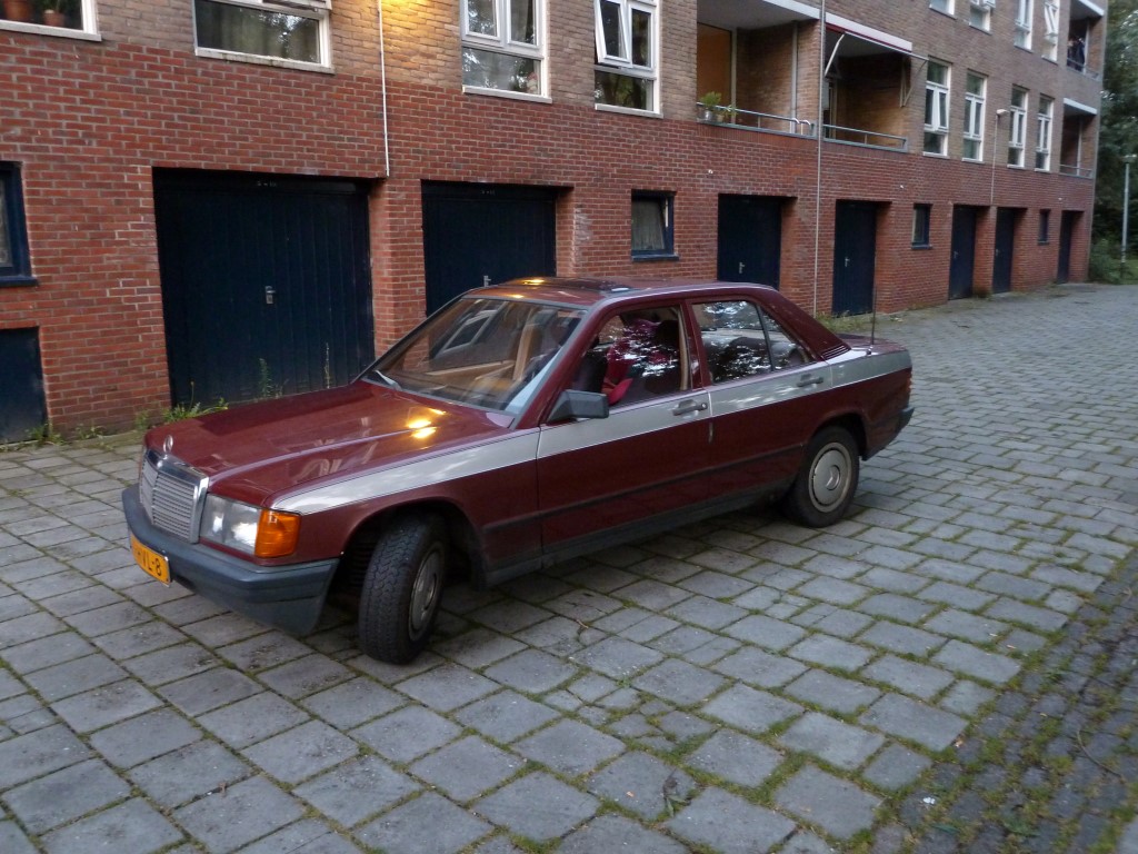 P1070004 (Medium).JPG