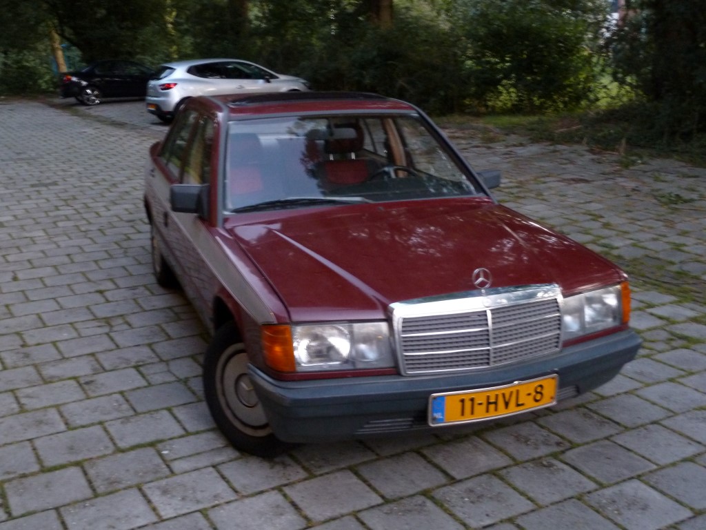 P1070005 (Medium).JPG
