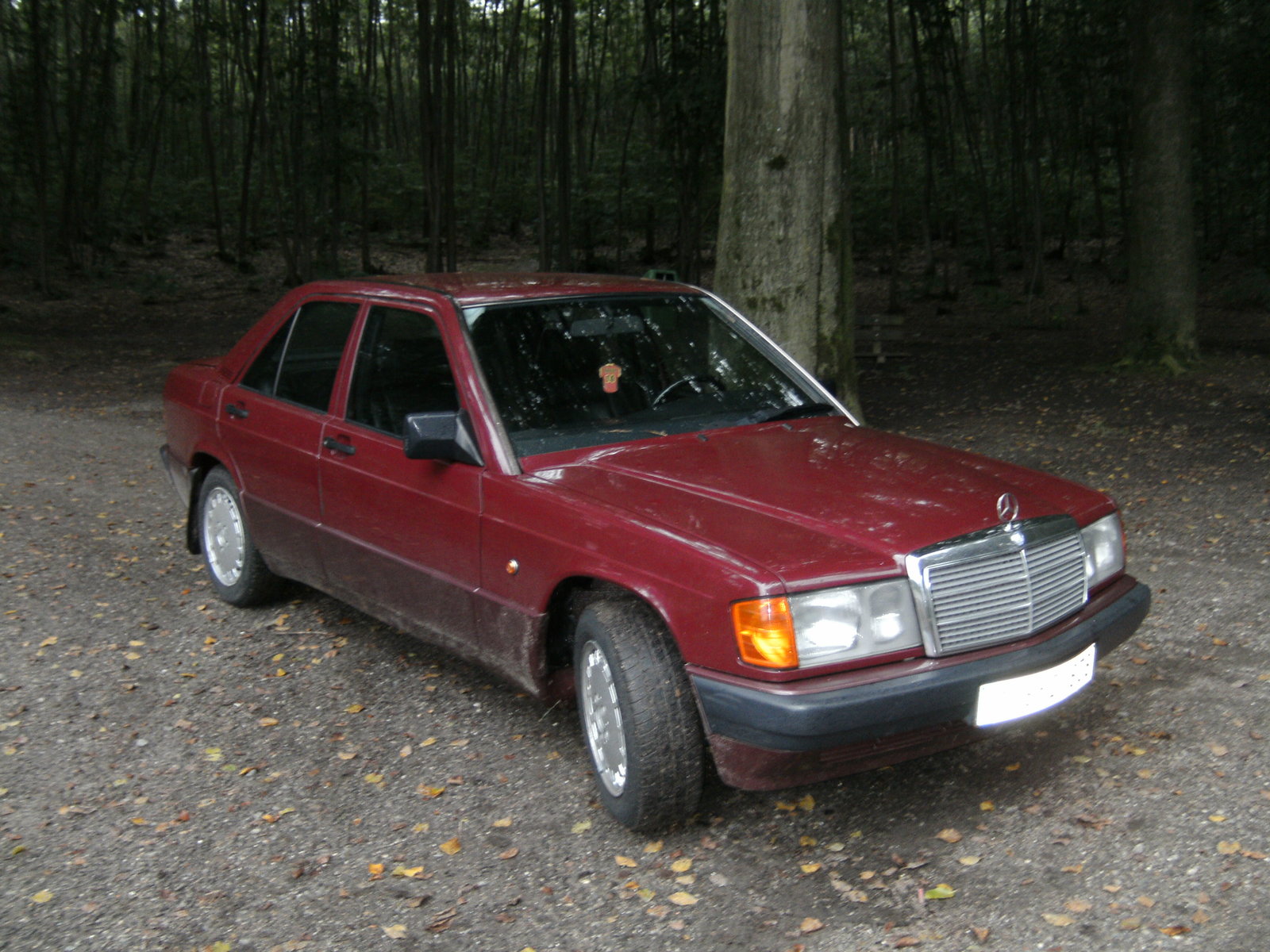 rsz_bild1025.jpg
