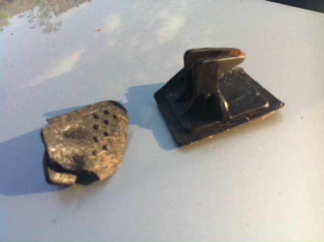 image7.jpeg