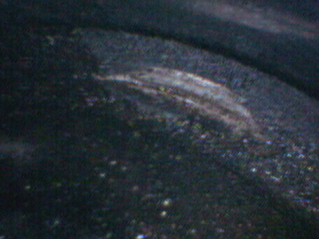 DIGI0028.JPG