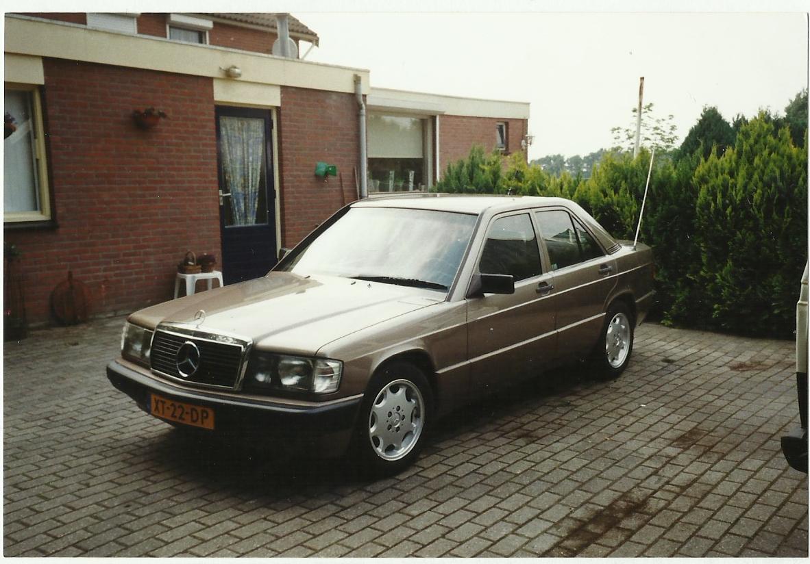wilma3.jpg