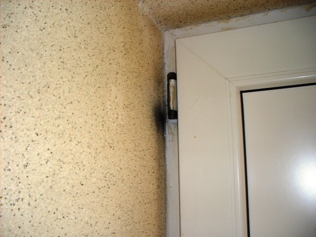 SDC18648.JPG