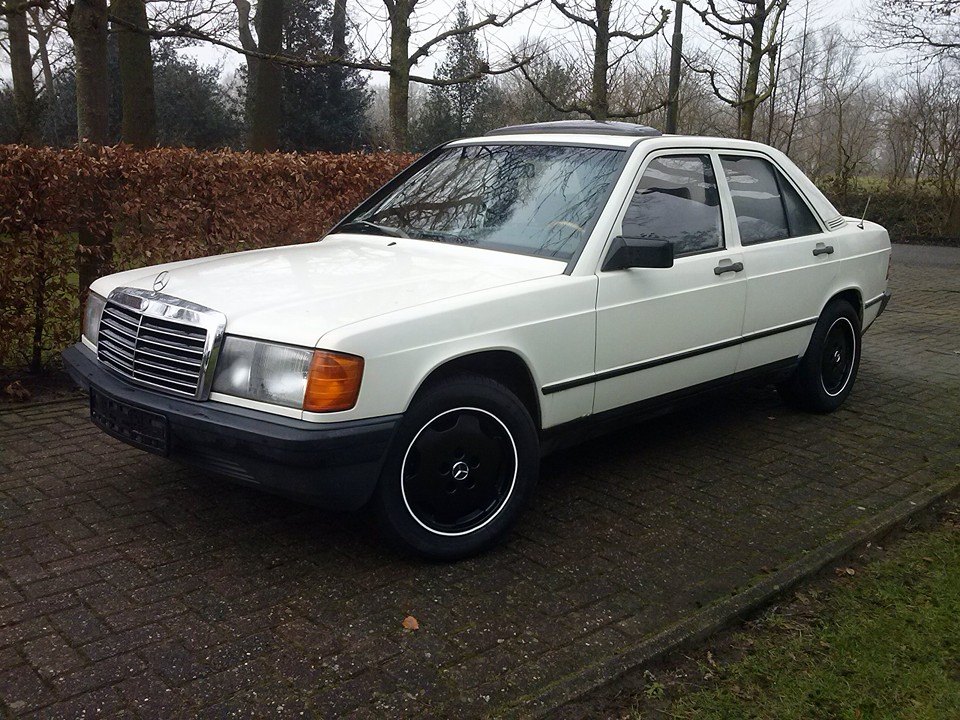 mercedes jelle.jpg
