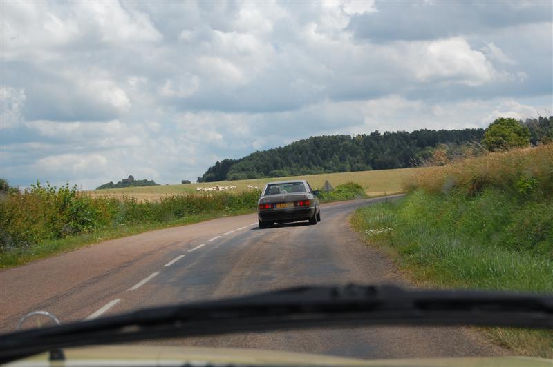 DSC_1590.JPG