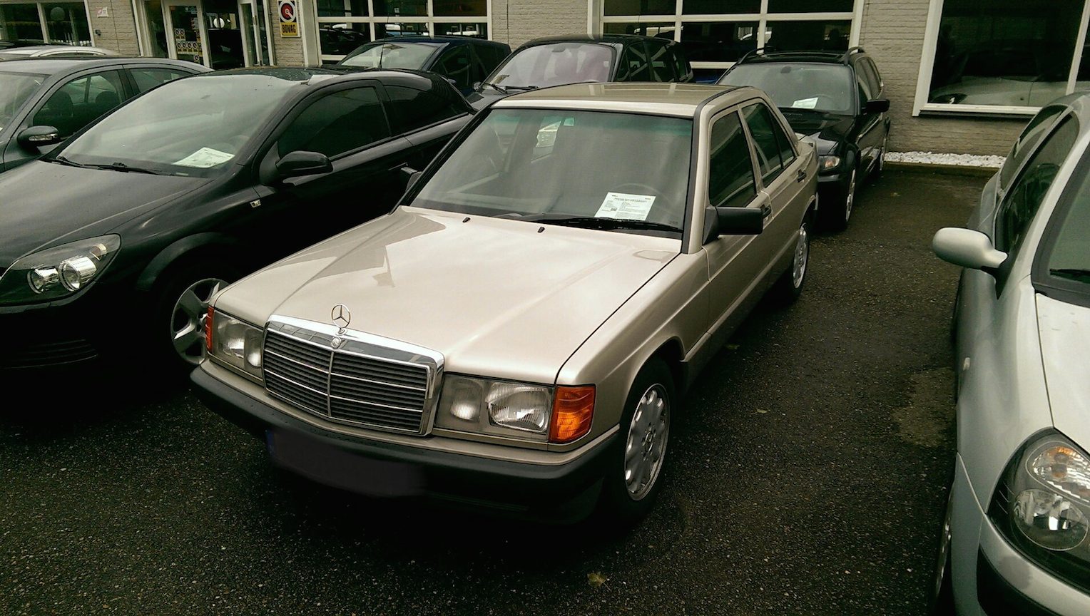 IMAG2381_1.jpg