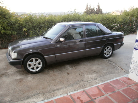 pic1.jpg