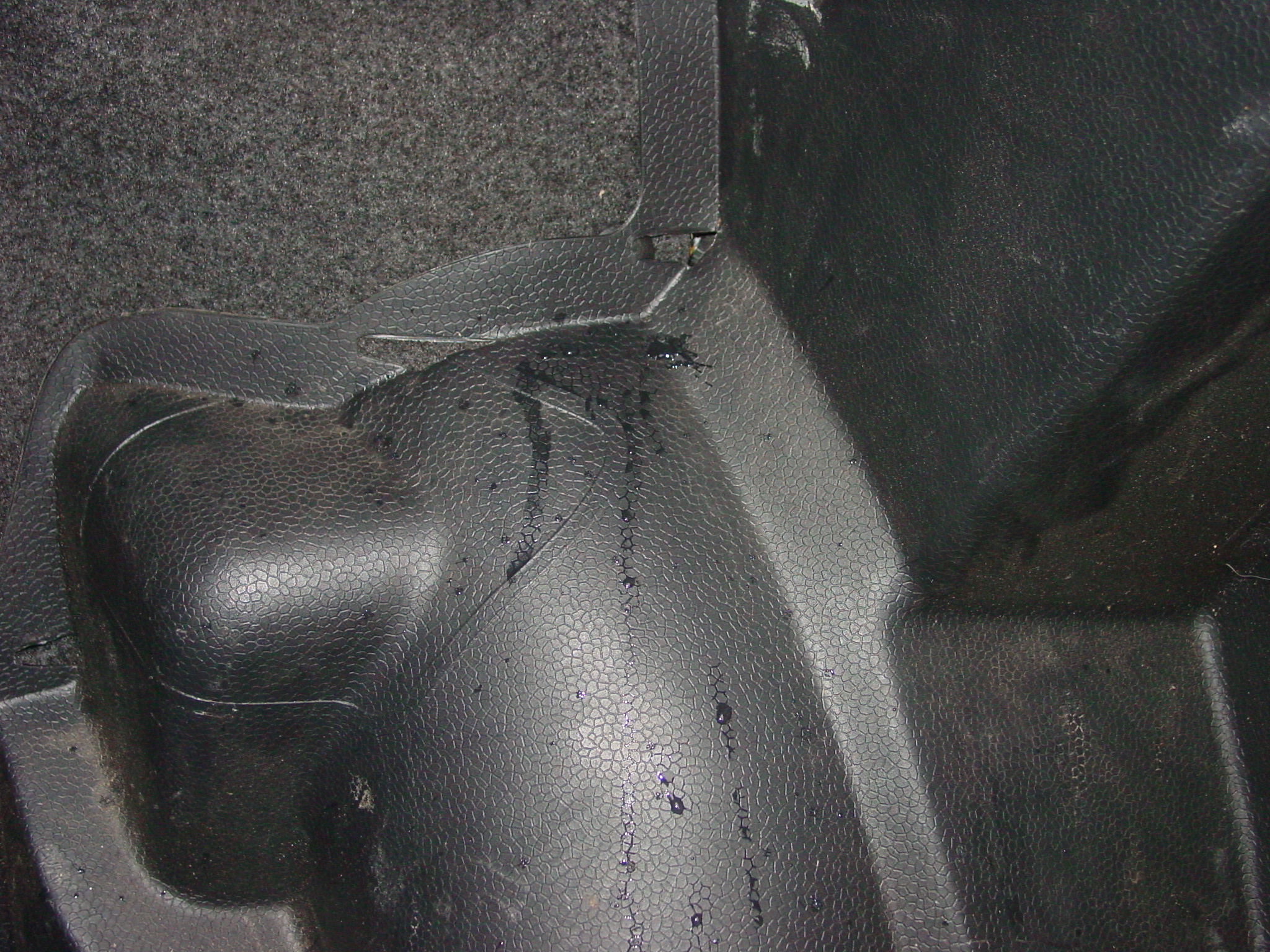 DSC07171.JPG