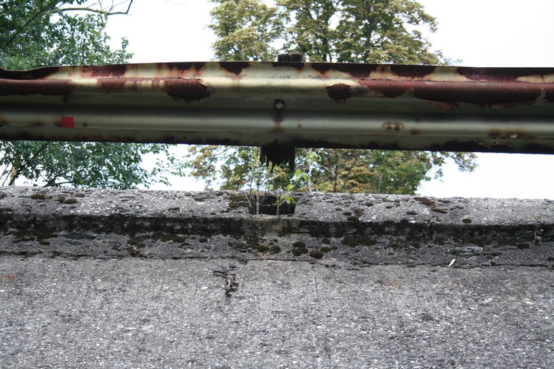 050.jpg