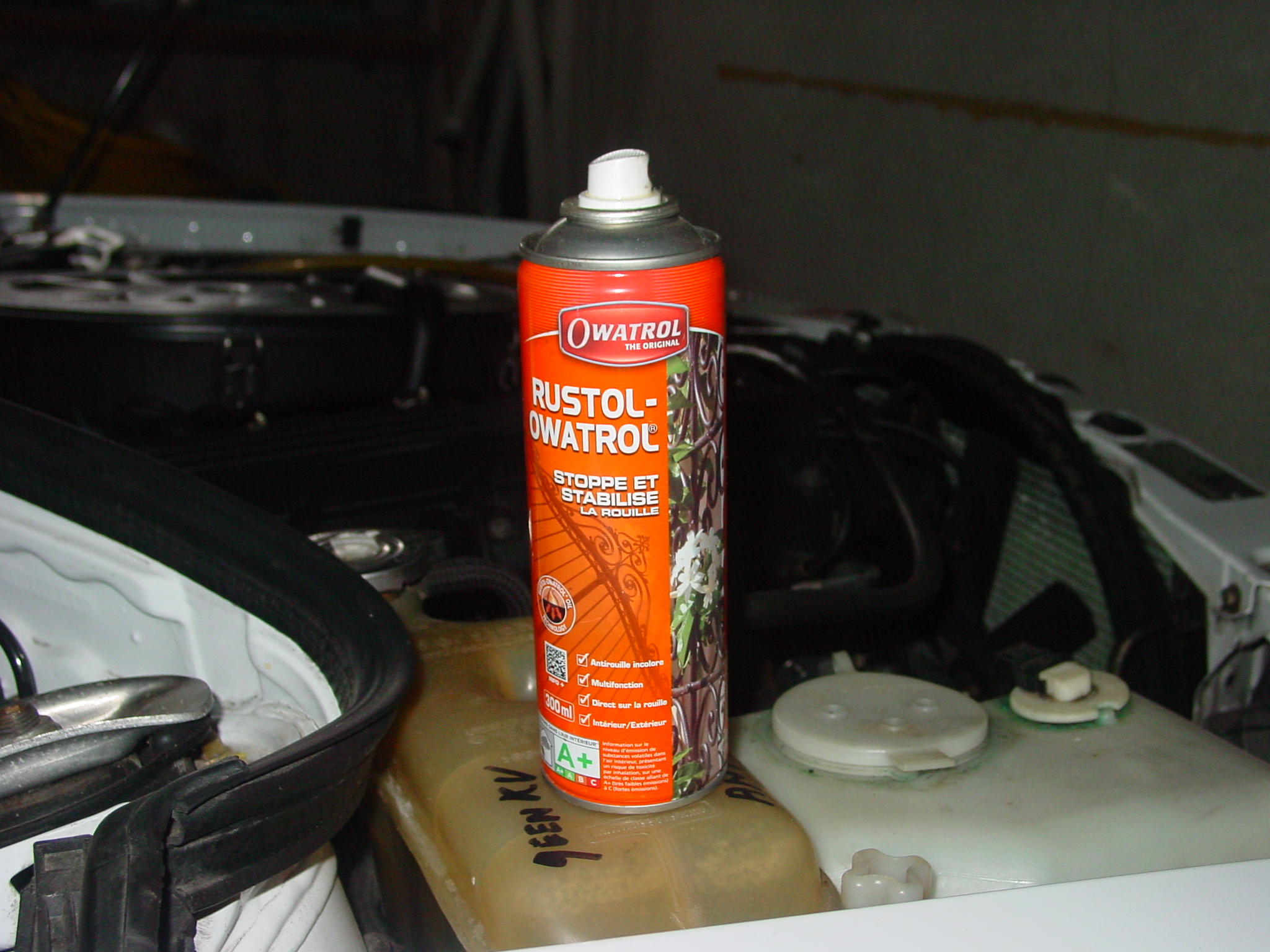 DSC07484.JPG