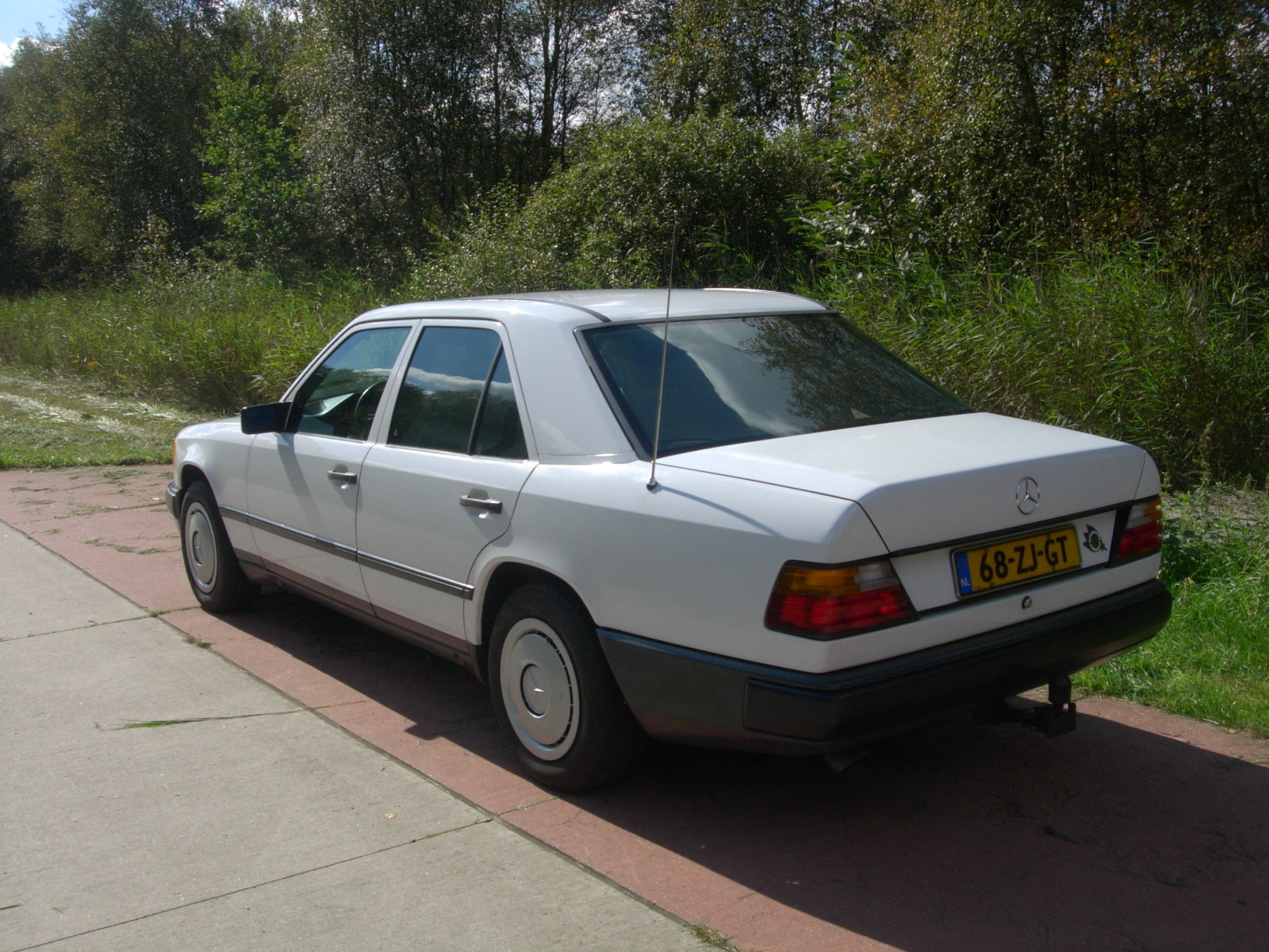 DSCN5177.jpg1.jpg