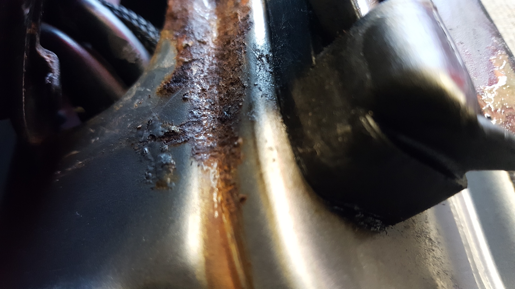 20160410_113202 2.jpg