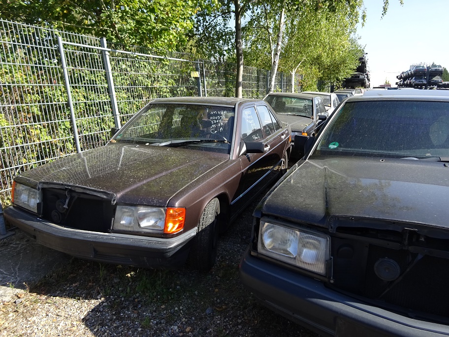 DSC03091.JPG