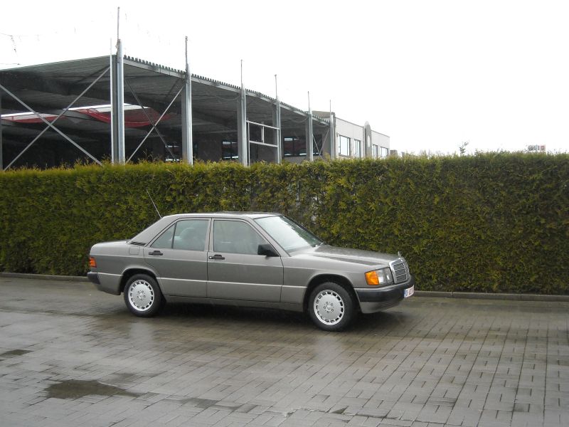zonneke 007.jpg