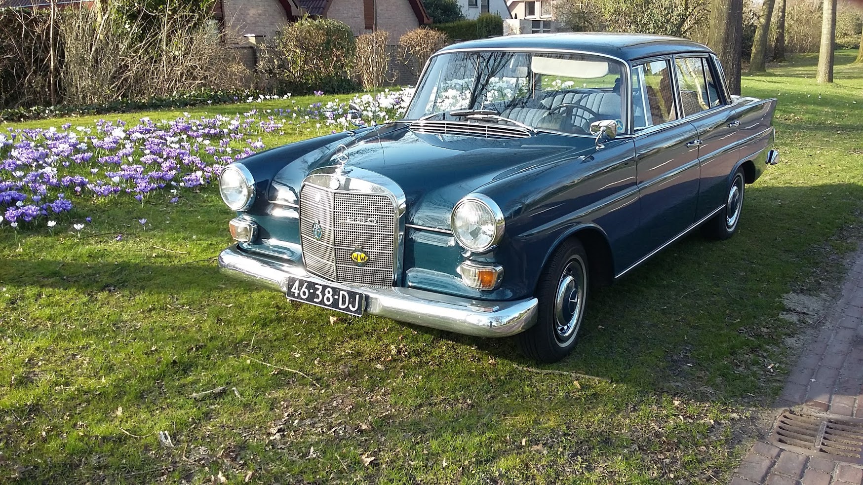 W110 1.jpg