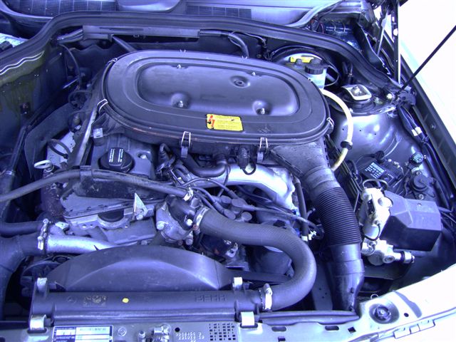 PICT0007.JPG