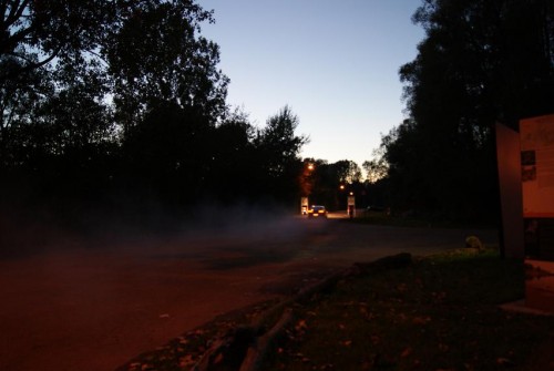 foto5.jpg