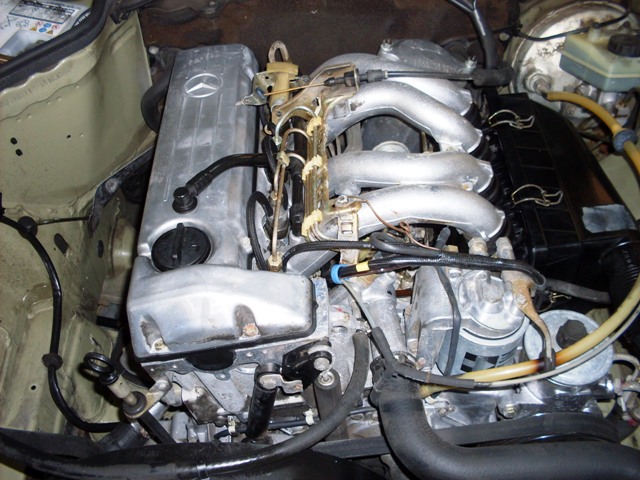SDC19155.JPG