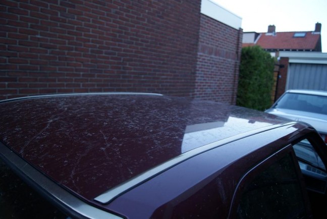 vies3.jpg