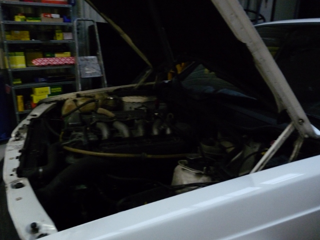 P1060761 (640x480).jpg