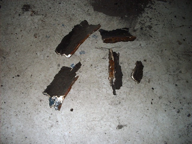 SDC19700.JPG