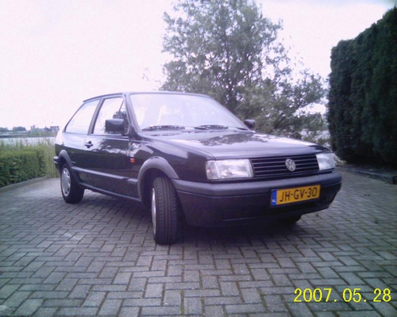 polo3.jpg