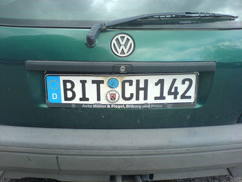 bitch.jpg